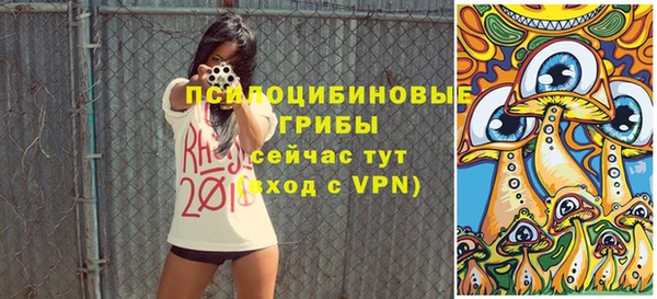 метадон Армянск