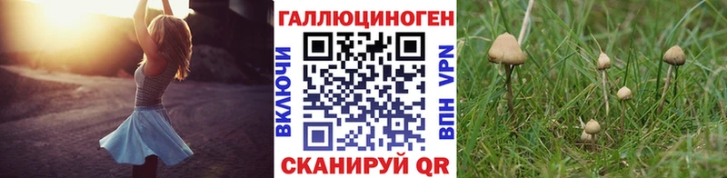 Галлюциногенные грибы прущие грибы Пыталово