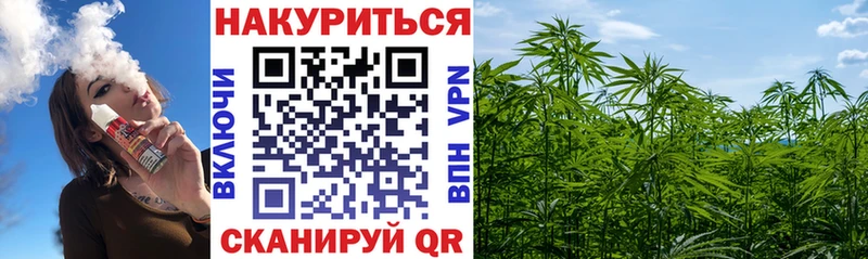 Каннабис планчик  Пыталово 